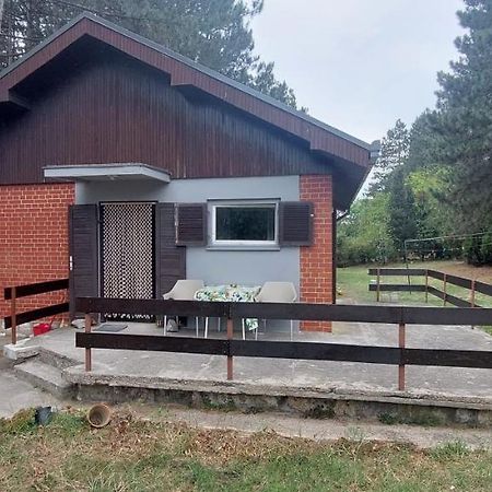 הוילה House For Us Vinci מראה חיצוני תמונה